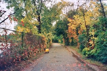 Fresh Pond Reservation Dog Park photo 1